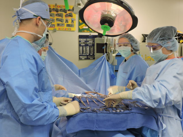 Photo of surgery technology students in action